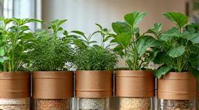 Plantas e materiais recicláveis no estúdio